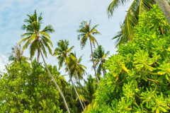 WhatsApp-Image-2026-01-28-at-10.50.00-PM