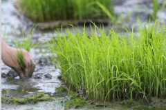 WhatsApp-Image-2026-01-28-at-10.50.01-PM1