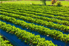 WhatsApp-Image-2026-01-28-at-10.50.01-PM3